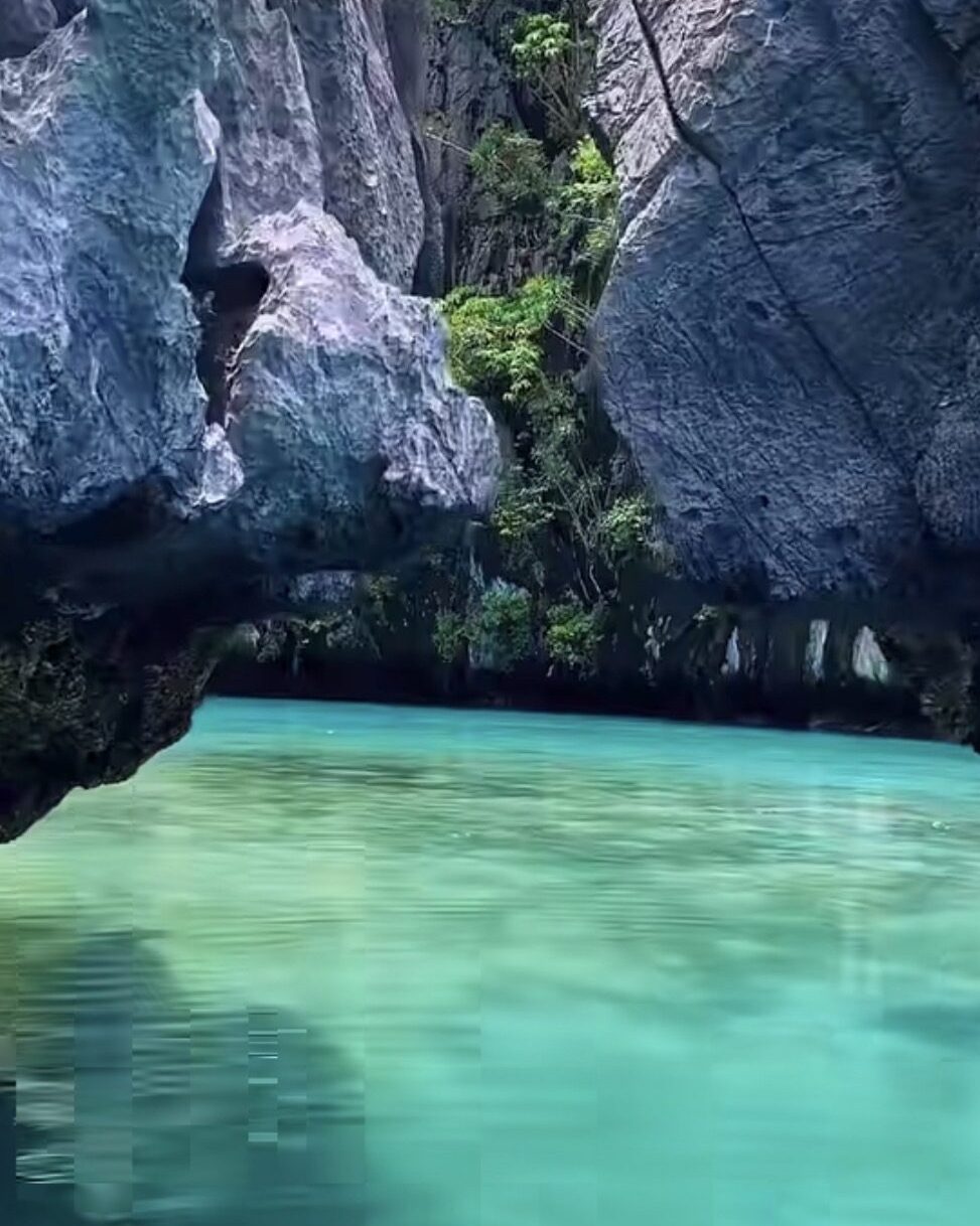 Turquoise lagoon flanked by towering grey limestone cliffs with lush green vegetation growing in the narrow gap between them.